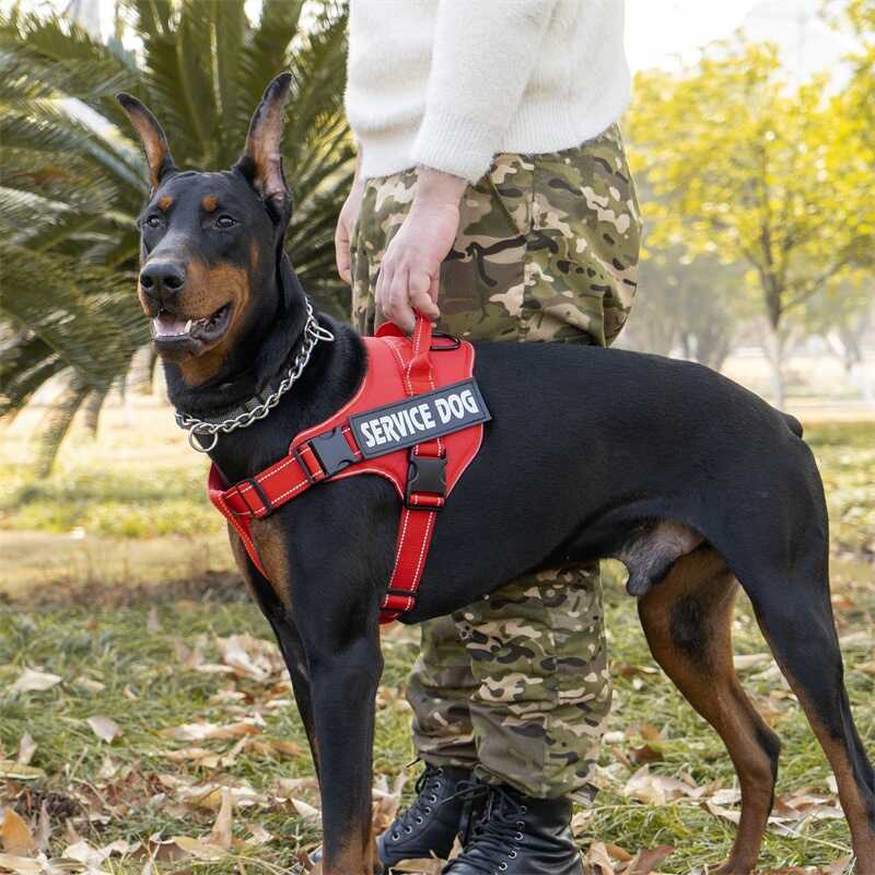 X9 Dây đeo ngực phản quang Dây xích chó cỡ trung bình Chó Labrador Vest Phong cách Dây đeo ngực thú 