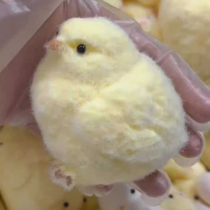 Vent Pinch Happy Good rua Mud Feel Cute Little Chicken tpr Little Chicken Pinch Happy Plush Little C