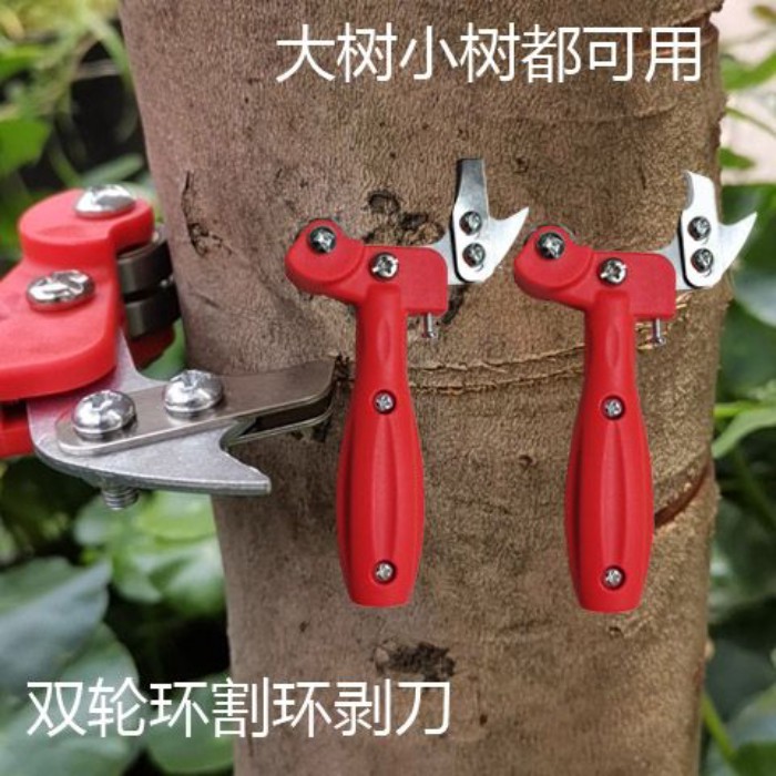 Lychee Vòng Peeler Trái Cây Cây Vòng Cắt Vòng Peeler Lychee Cây Vòng Cắt Quá Khổ Vòng Peeler