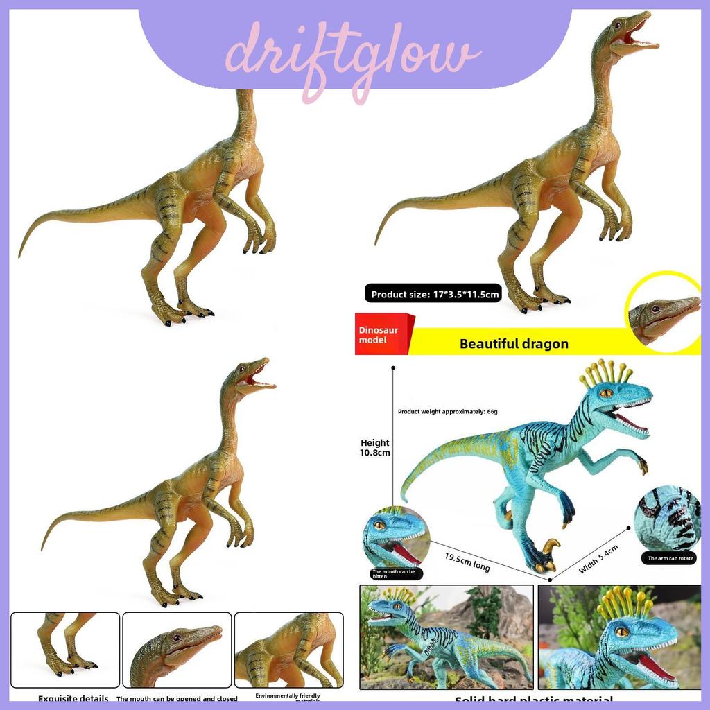 Compsognathus Dinosaur And Eoraptor Lunensis Model Màn hình tĩnh có hàm di chuyển cho người sưu tập 