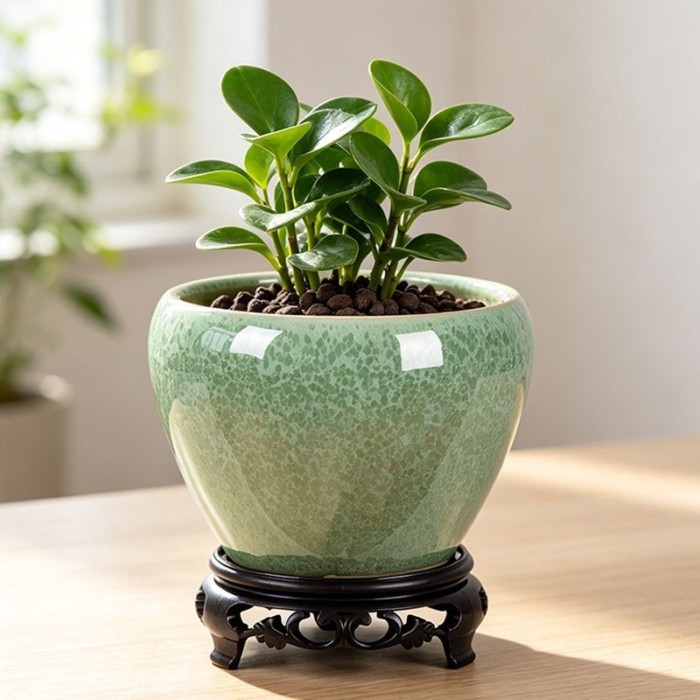 Ưu đãi đặc biệt Bình hoa gốm sứ có đế đơn giản Hộ gia đình Bamboo Orchid Orchid Orchid Bàn thoáng kh