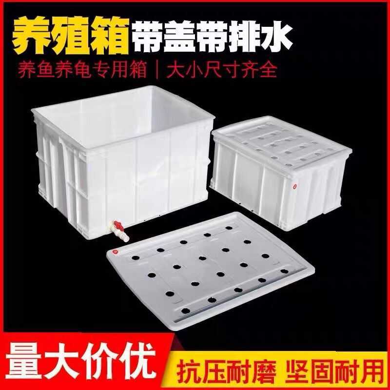 Hộp bằng nhựa dày dặn, nắp, có hệ thống thoát nước chứa nước, thích hợp để nuôi cá, rùa sấu và cá co