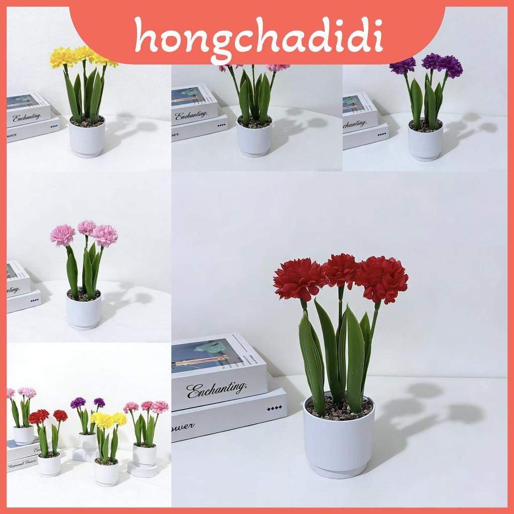 Mô phỏng Australis Epalates Ít chậu cây để trang trí trong nhà và ảnh nền