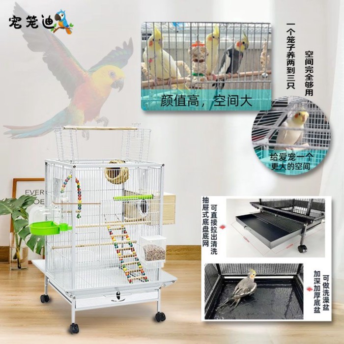 Trong kho Thú Cưng Lồng Di Lớn LỒNG CHIM Vẹt Lồng Cực Lớn Villa Myna Myna Phượng Hoàng Đen Hoa Mẫu