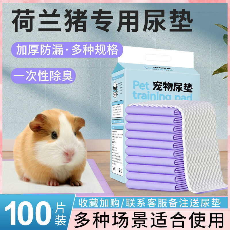 Chuột Lang Đổi Miếng Lót Chinchilla Chuột Lang Chăm Sóc Tã Dày Thấm Hút Lồng Tổ Chuột Lang Tiếp Liệu