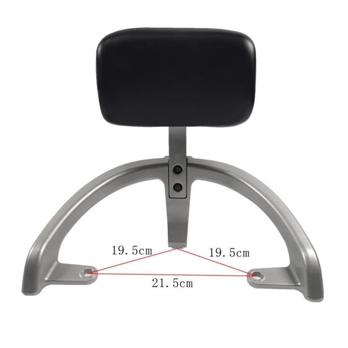 Xe Điện B03 Emma Dio Cam Xincheng Q169 Tựa Lưng TDR4173Z Kệ Sau Tiêu Chuẩn Quốc Gia B03