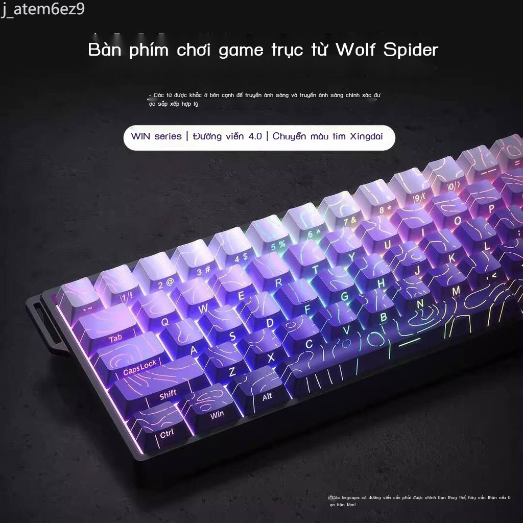 [Ảnh thật/Sẵn]  Bàn phím cơ học trục từ Wolf Spider WiN60/68HE, gradient trong suốt, chơi game, có