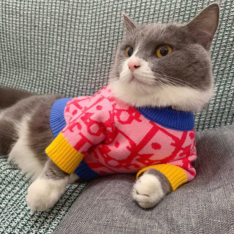 Quần Áo Mèo Chó Teddy Bichon Pomeranian Áo Len Thu Đông Ấm Đan Nhật Bản Phong Cách Hàn Quốc Chó Bich