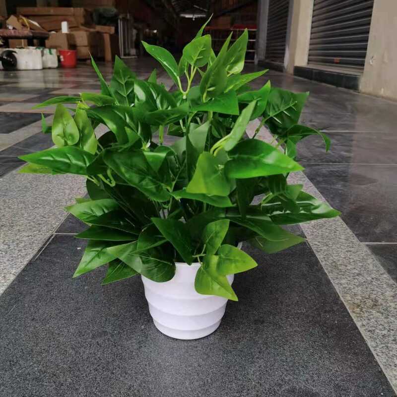 Cây Xanh Trang Trí Internet Cafe Trang Trí Nhân Tạo Cây Xanh Chậu Cây Storefront Cây Xanh Trang Trí 