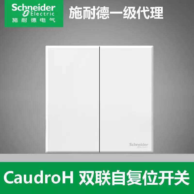 Schneider Yueyuan White Double-Open Double-Open Self-Reset Switch Điểm phơi nhà thông minh Thông thư