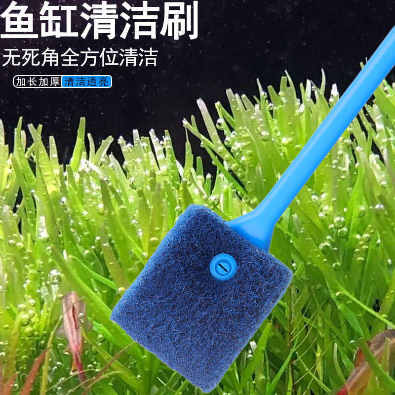 Bàn chải bể cá Bàn chải thủy tinh Dụng cụ làm sạch bể cá Bàn chải bể cá Tay cầm dài Bàn chải bể cá M