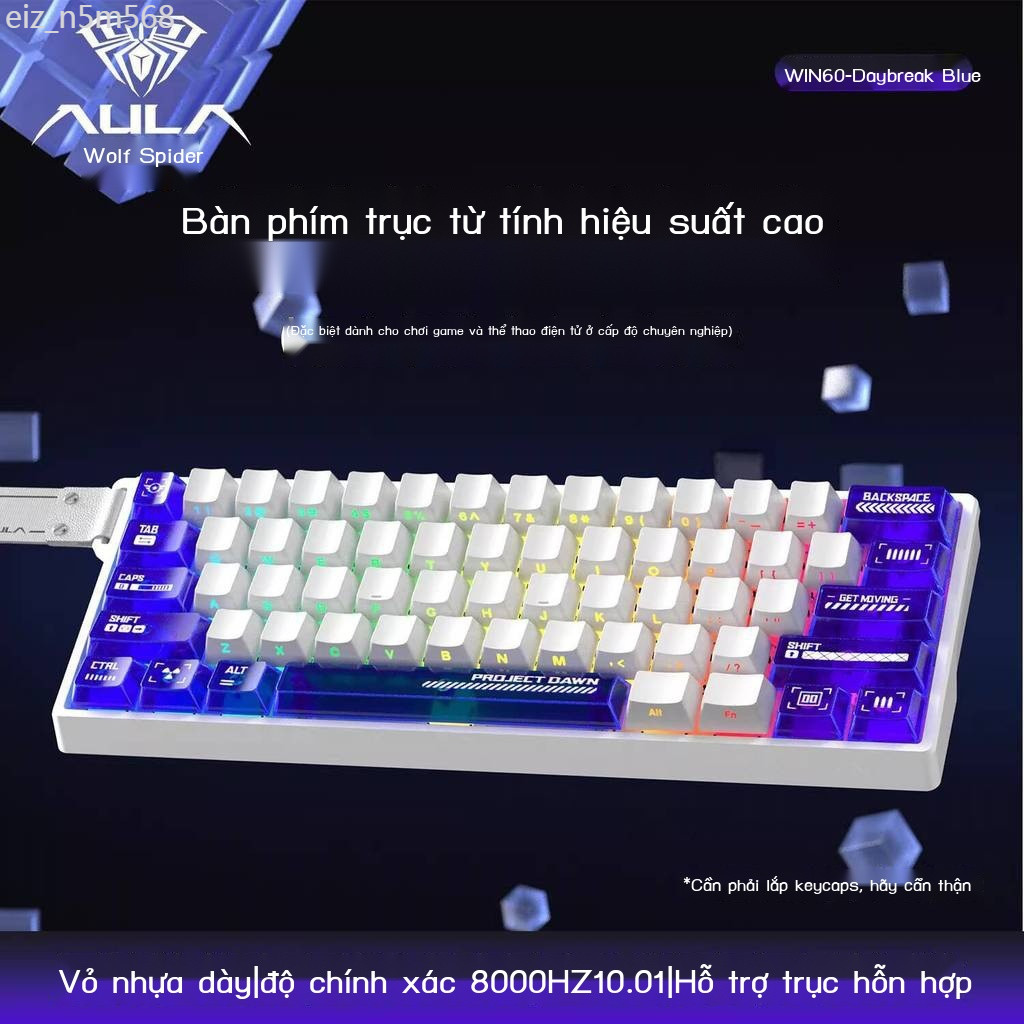 [SIÊU HOT 2026] Bàn cơ Wolf Spider Win60HE có switch từ tính chơi eSports, bàn phím tùy chỉnh trong