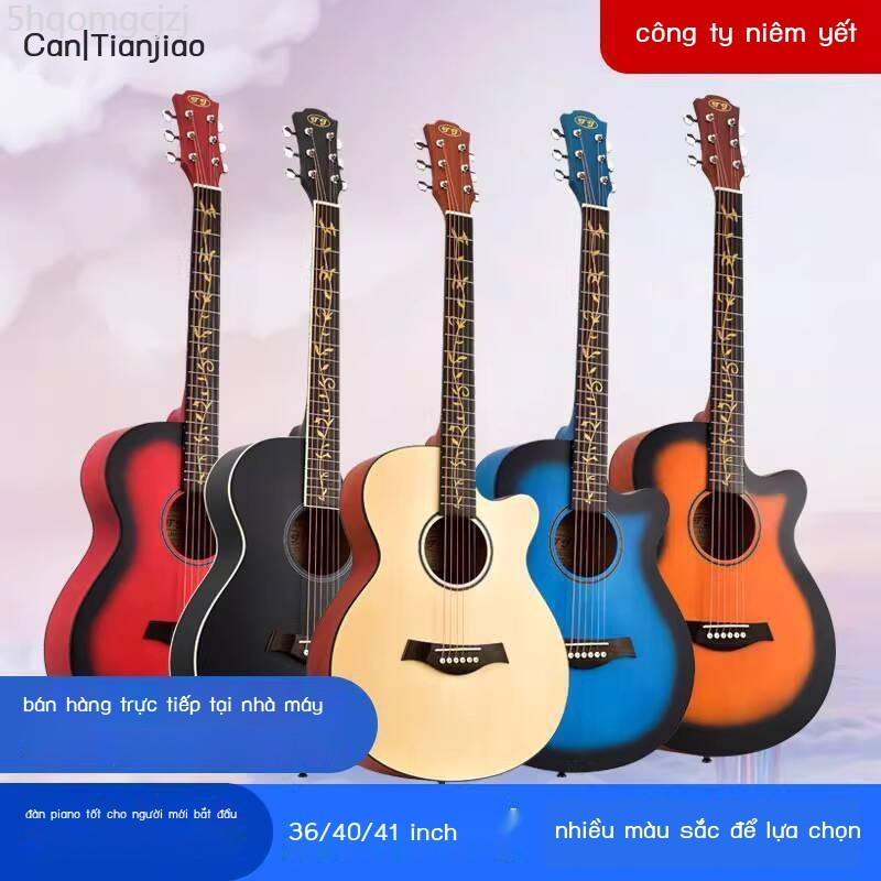 [SALE SỐC]  Hướng dẫn đặc biệt về guitar phong cách ngón tay TJ Advanced C1 Series M36C1/M40C1/M41C