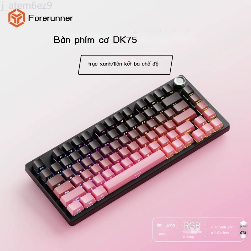 HOT- [ Ảnh thật ] Bàn phím cơ học không Bluetooth ba chế độ có dây Forerunner DK75 cho máy tính văn