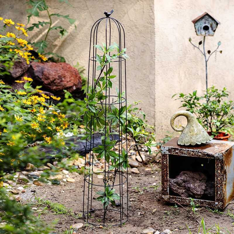 Giàn Juhan Iron Art Dành Cho Hoa Hồng, Cây Leo Và Chậu Hoa.