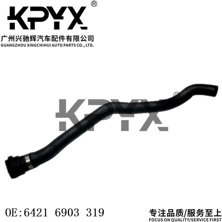 Thích hợp cho BMW 3 Series E46 Cặp Bình Nước Ống Tản Nhiệt Ống Nước Làm Mát Ống Nước OE:64216903319