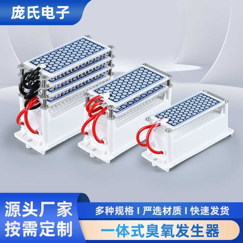 5g10g20g Máy Tạo Ozone AC220 / 110V Máy Lọc Không Khí Tấm Gốm Ozone Phụ Kiện Máy Phát Điện