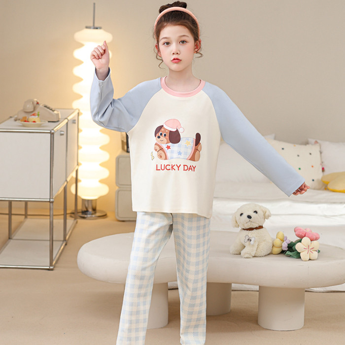 2026 New Year Collection Bulk Discount Pajamas Boy's or Girls Long Sleeve Round-Neck Nightdress Chil