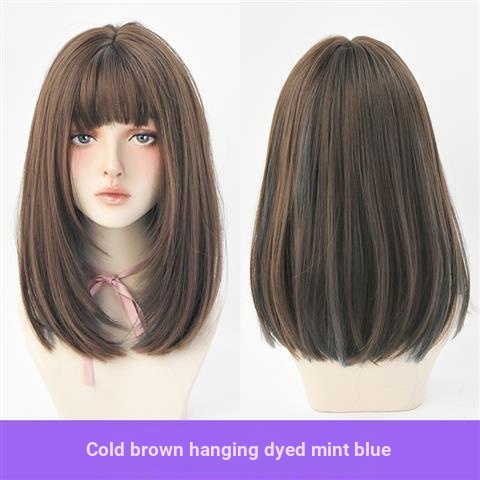 Mới Bộ Tóc Giả Dài Thẳng Nhuộm Màu gradient Tự Nhiên Có Móc Tai Dễ Thương