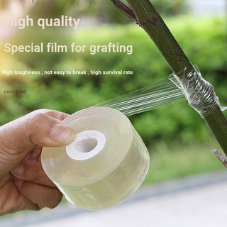 Pvc Ghép Phim Chuyên Dụng Cây Trái Cây Cuộn Dây Phim Tự Dính Ghép Phim Nhựa Băng Cuộn Dây 2cm Rộng Chất Lượng Cao Ghép Phim