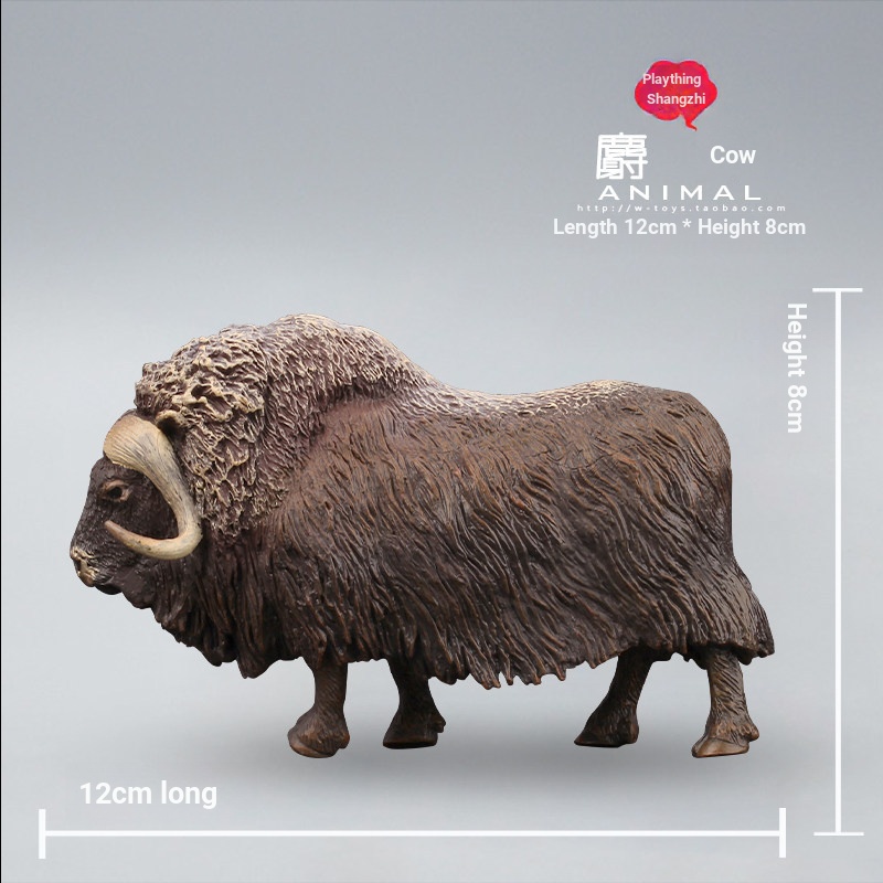 Đồ Chơi Shangzhi Musk Mô Hình Mô Phỏng Động Vật Đồ Chơi Musk Bò Bắc Cực Musk Trẻ Em Nhận Thức Giáo D