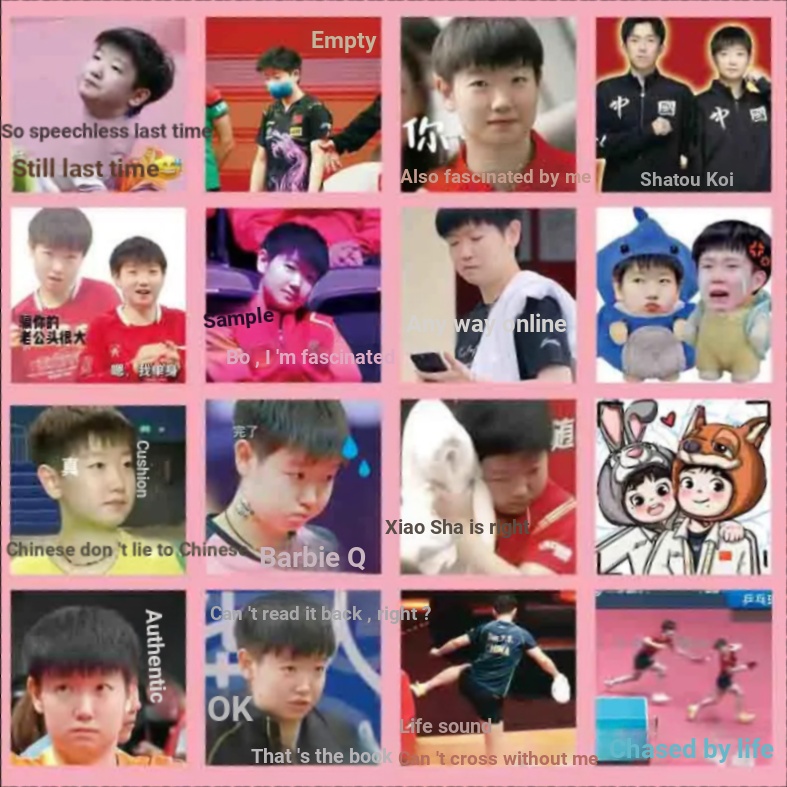 78 Miếng Sun Yingsha Wang Chuqin Emoticon Gói Dán Shatou CP Ngoại Vi Bóng Bàn Trung Quốc Sổ Tay Điện