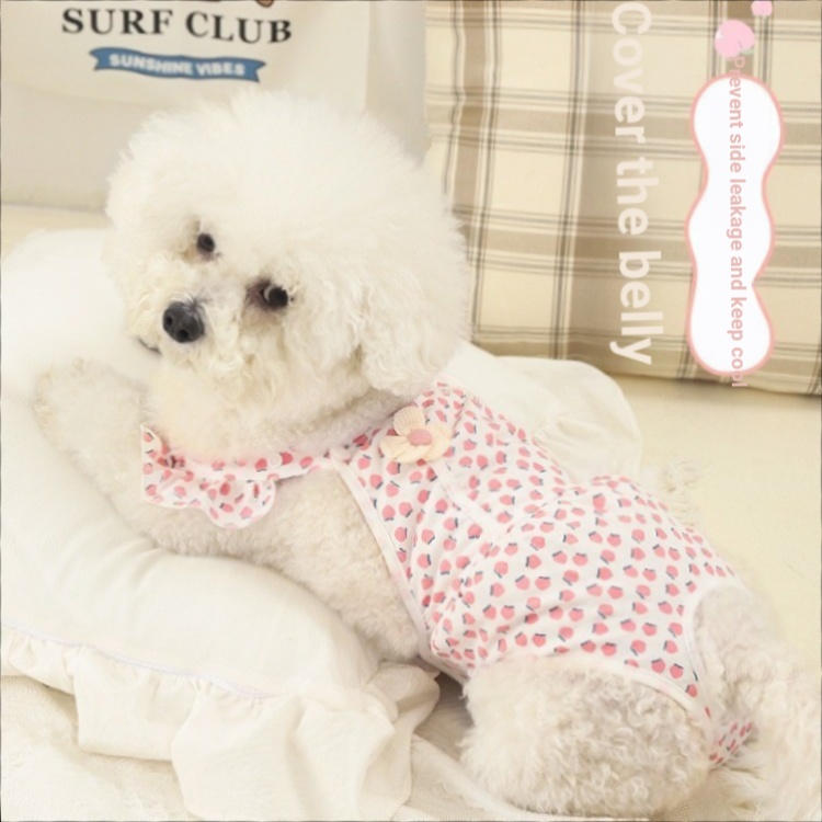 Chó Sinh Lý Quần Thú Cưng Bitch Bichon Quần An Toàn Bichon Pomeranian Teddy Nữ Chó Nhỏ Kinh Nguyệt T
