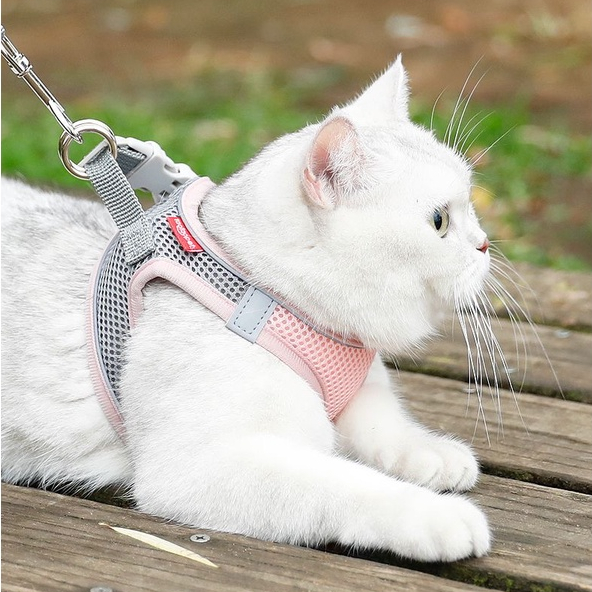 Elsabell Dây Đeo Ngực Cho Thú Cưng Lưới Thoáng Khí Có Thể Điều Chỉnh Loại Áo Phản Quang Đai Chó Lớn Trung Bình
