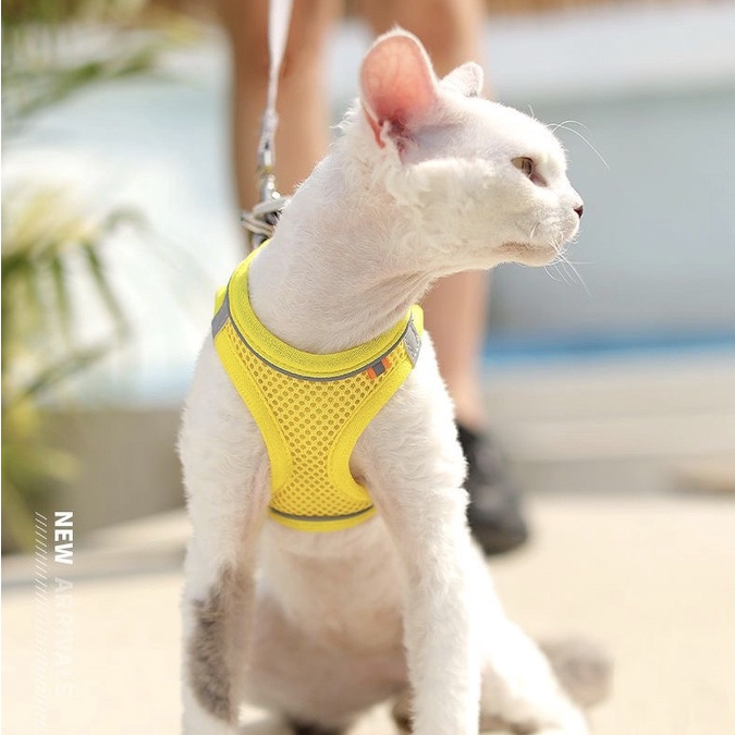 Elsabell Dây Đeo Ngực Cho Thú Cưng Lưới Thoáng Khí Có Thể Điều Chỉnh Loại Áo Phản Quang Đai Chó Lớn Trung Bình