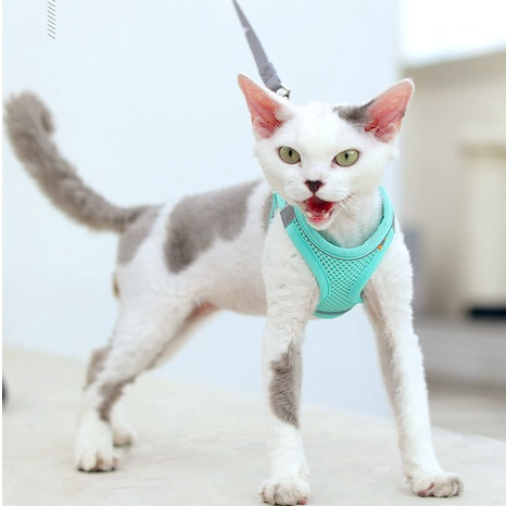Elsabell Dây Đeo Ngực Cho Thú Cưng Lưới Thoáng Khí Có Thể Điều Chỉnh Loại Áo Phản Quang Đai Chó Lớn Trung Bình