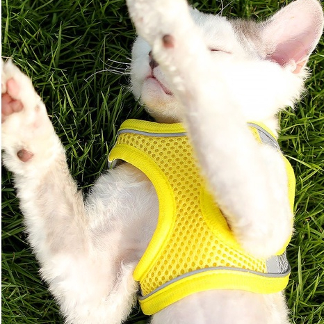 Elsabell Dây Đeo Ngực Cho Thú Cưng Lưới Thoáng Khí Có Thể Điều Chỉnh Loại Áo Phản Quang Đai Chó Lớn Trung Bình