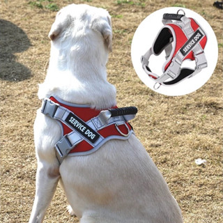 Elsabell Dây đai phản quang cho chó có thể điều chỉnh đeo ngực thú cưng dây xích lớn đi dạo ngoài trời