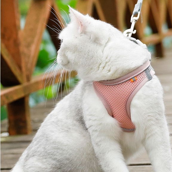 Elsabell Dây Đeo Ngực Cho Thú Cưng Lưới Thoáng Khí Có Thể Điều Chỉnh Loại Áo Phản Quang Đai Chó Lớn Trung Bình
