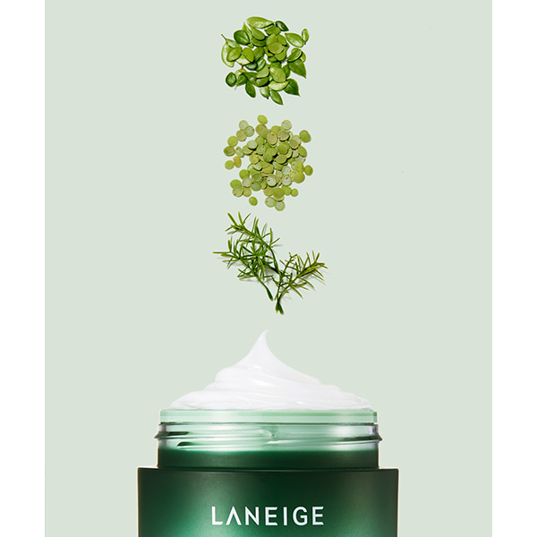 Mặt Nạ Ngủ Laneige Cica Sleeping Mask 10ml