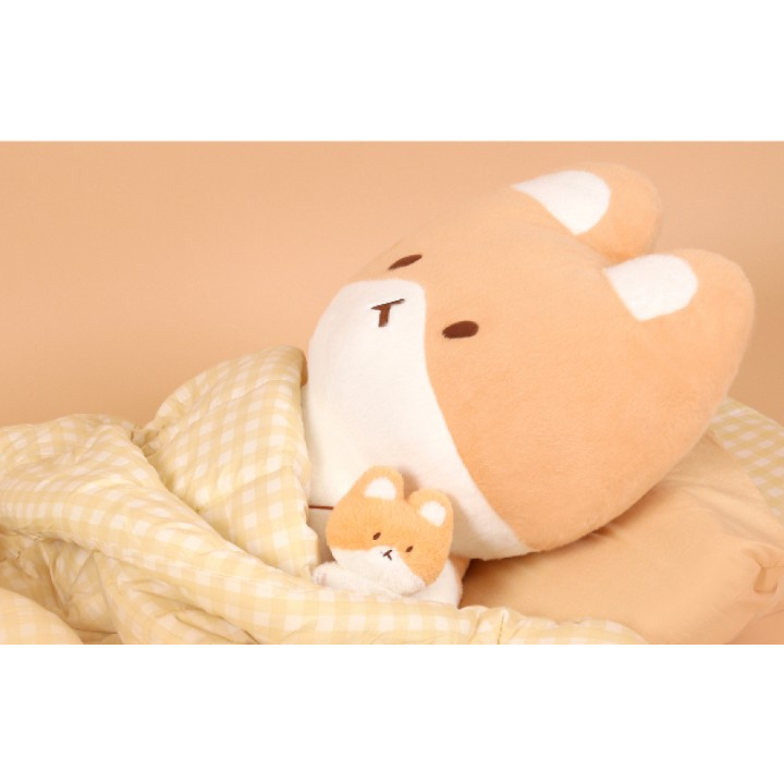 Teolaegi BAEKHYUN 20CM & AR VOICE SET - EXO