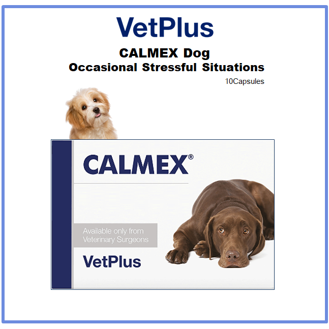 [VetPlus] Đồ Chơi Giảm Căng Thẳng 10 Con Chó