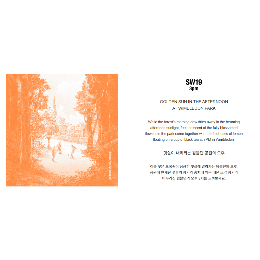 SW19 FRAGRANCE 5 SCENTS 8ML