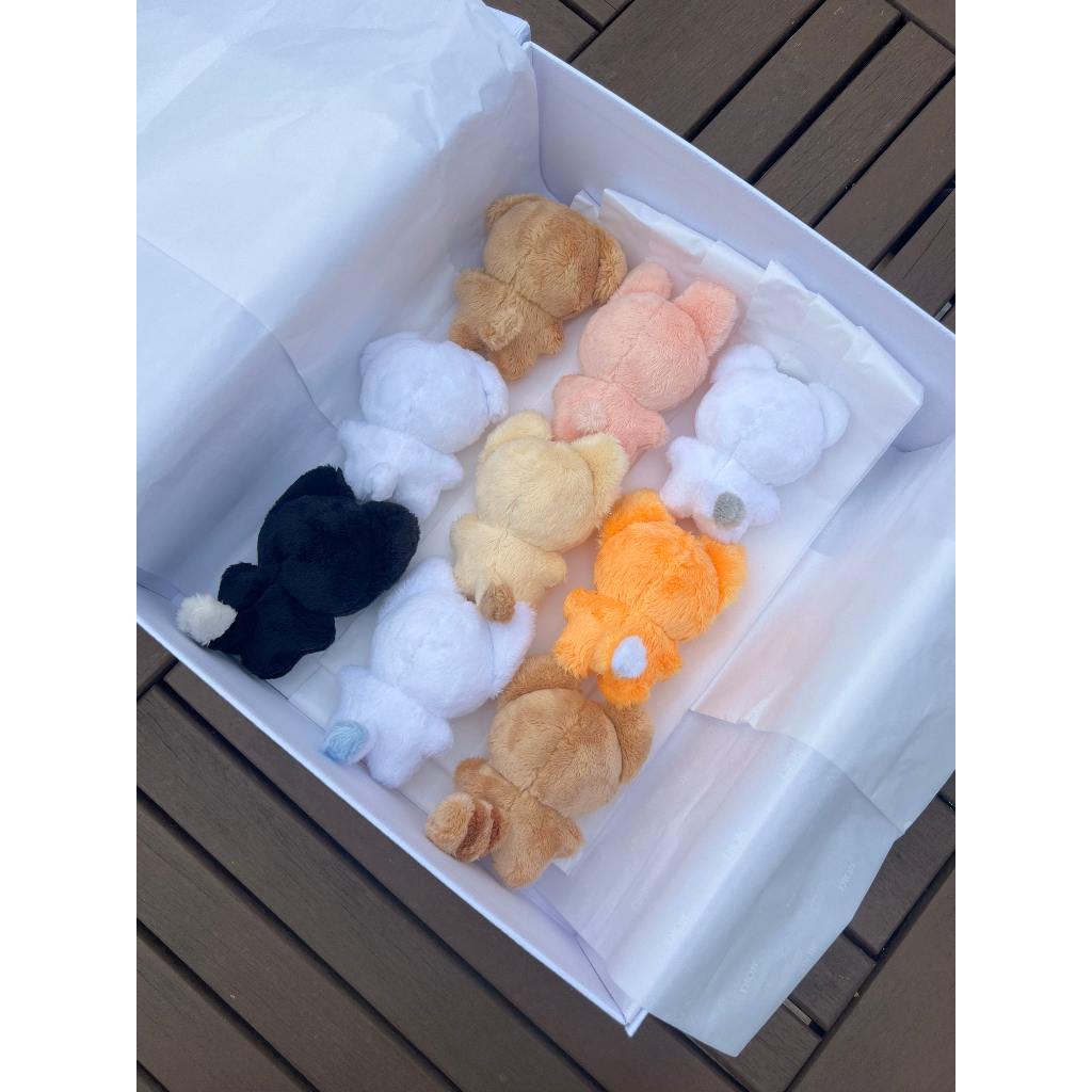 BBOSOM VILLAGE ZEROBASEONE  10cm Doll