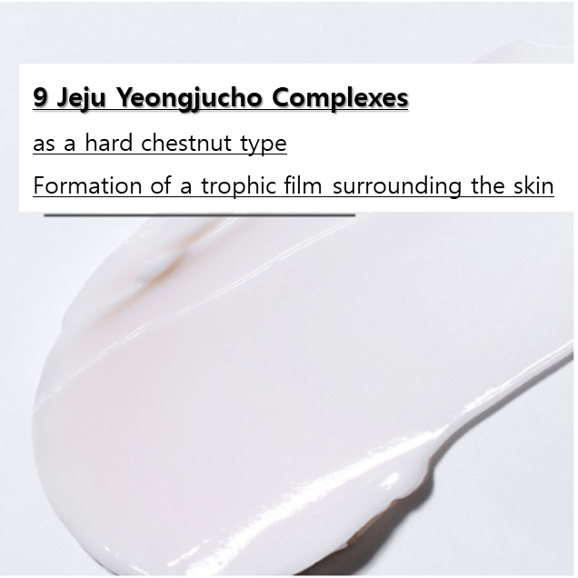 Kem Dưỡng Chuyên Sâu 9 Thương Hiệu innisfree / innisfree Perfect 9 Intensive Cream 60mL