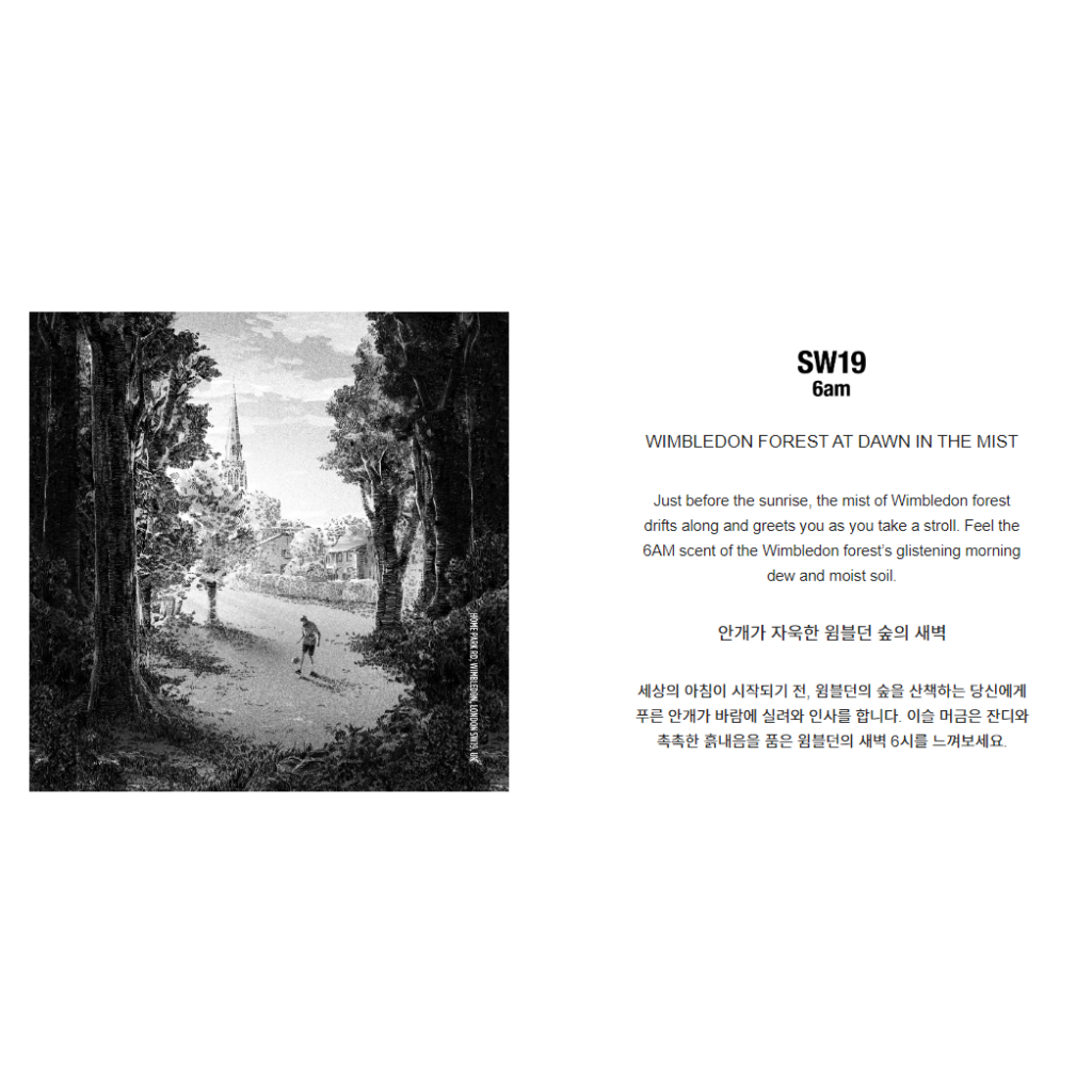 SW19 FRAGRANCE 5 SCENTS 8ML