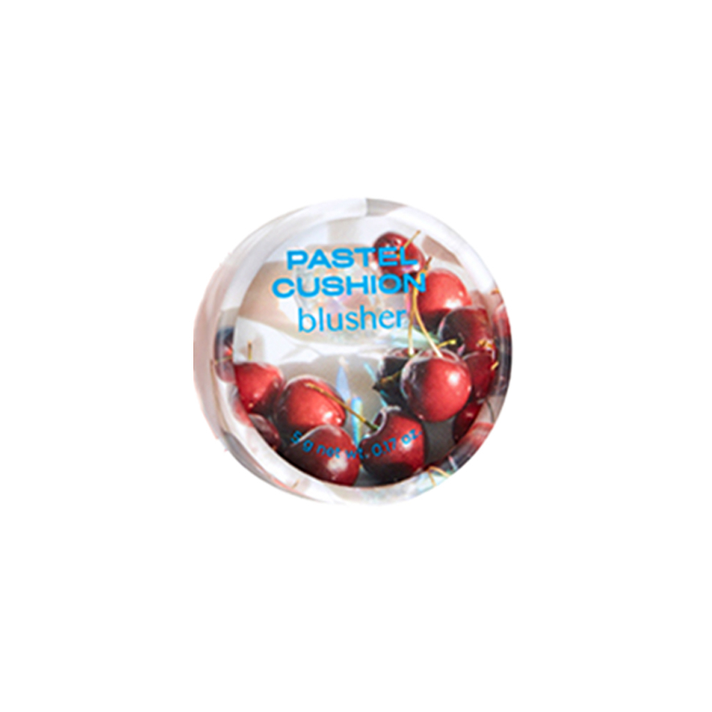The face shop  fmgt pastel cushion blusher