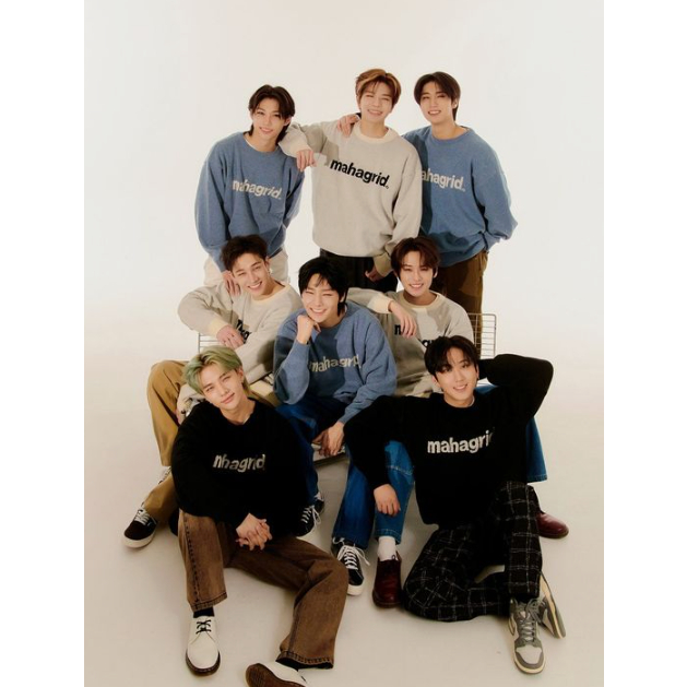 Áo Thun Có LOGO Cơ Bản UNISEX / 6 Màu / STRAY KIDS / 100% Chính Hãng / Hàn Quốc
