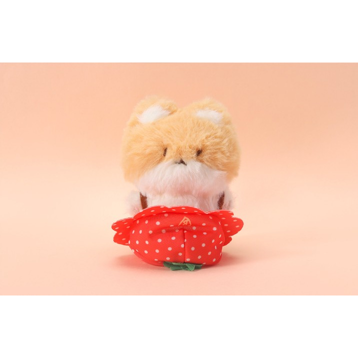 Teolaegi BAEKHYUN 10CM BERRY LOVER - EXO