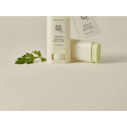 Thanh Lăn Chống Nắng Beauty Of Joseon Matte Sun Stick Mugwort + Camelia 18g