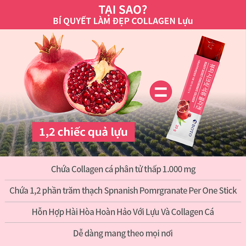 Collagen Lựu Dạng Thạch  Làm Đẹp Da  20g x 15 gói