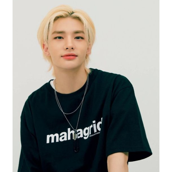 Áo Thun Có LOGO Cơ Bản UNISEX / 6 Màu / STRAY KIDS / 100% Chính Hãng / Hàn Quốc