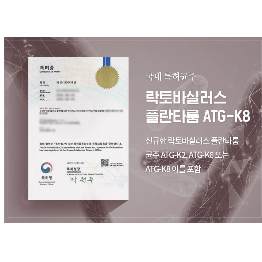 Hàn Quốc vitamin village Perfect Biotics nữ giới Probiotics 2g x 30pcs