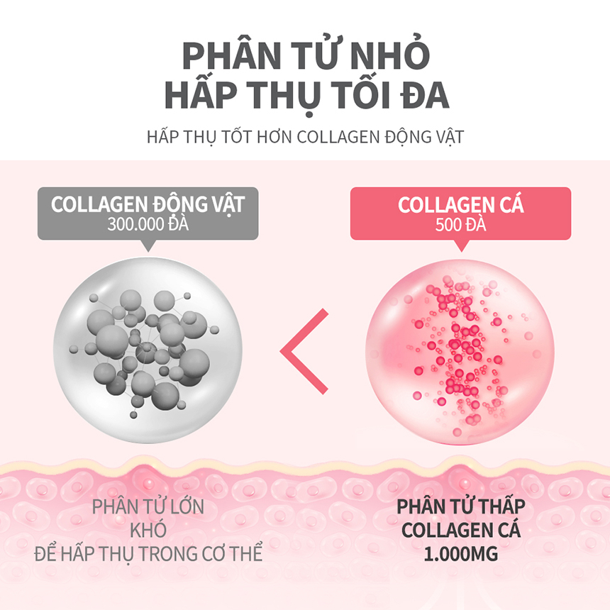 Collagen Lựu Dạng Thạch  Làm Đẹp Da  20g x 15 gói