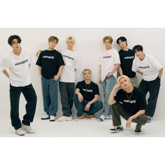 Áo Thun Có LOGO Cơ Bản UNISEX / 6 Màu / STRAY KIDS / 100% Chính Hãng / Hàn Quốc