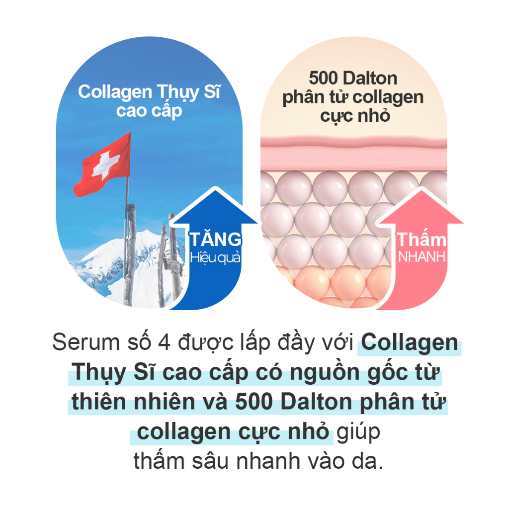 Serum pudding 74% collagen numbuzin số 4